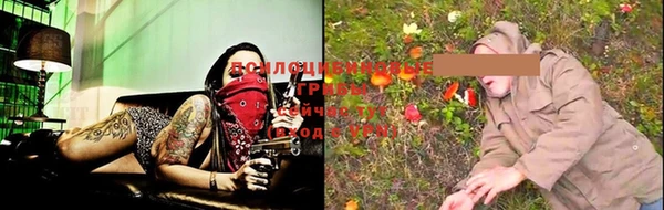 спайс Аркадак