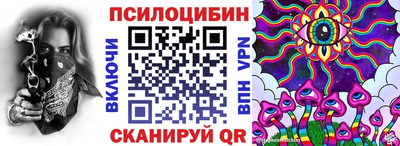 Псилоцибиновые грибы Psilocybine cubensis Сургут